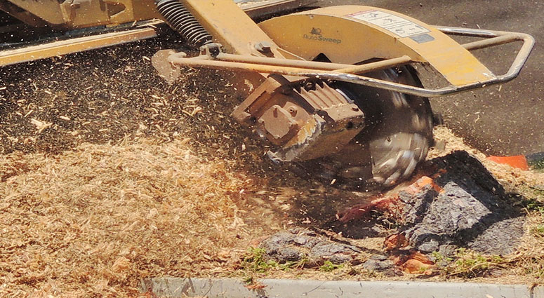 Stump Grinding Services Houston