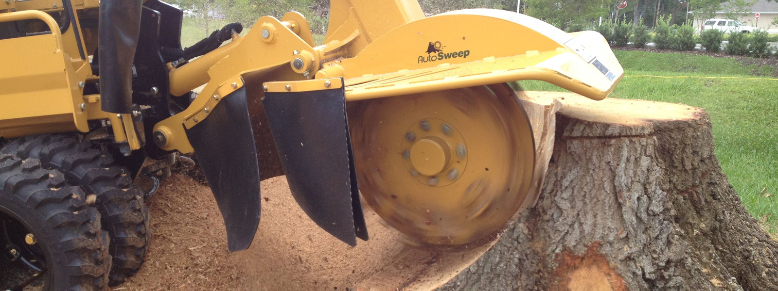 Stump Grinding Services Houston