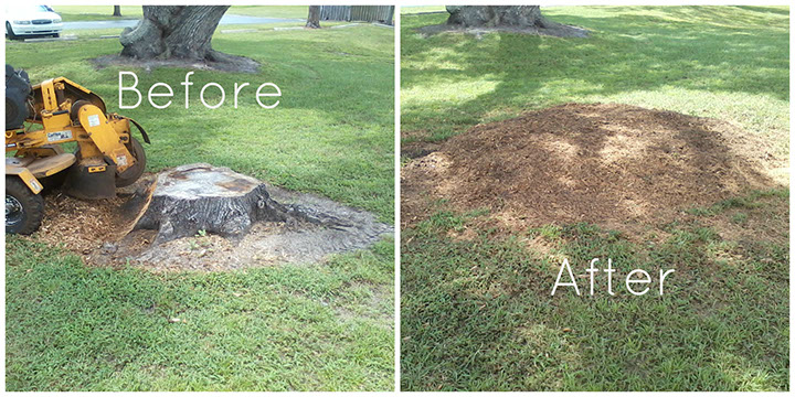 Stump Grinding Services Houston